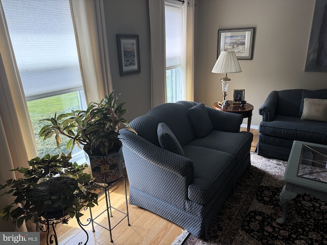 living room with wood finished floors and plenty of natural light
