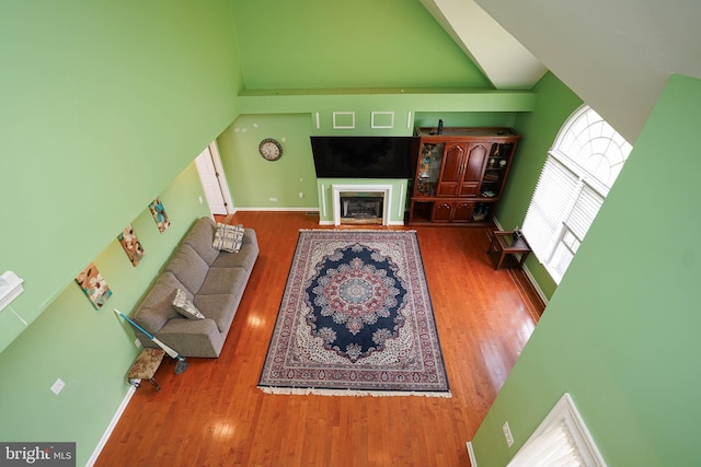 30085 Haymarket Ct, Salisbury, MD 21804 - living area with wood finished floors, baseboards, a fireplace, and lofted ceiling