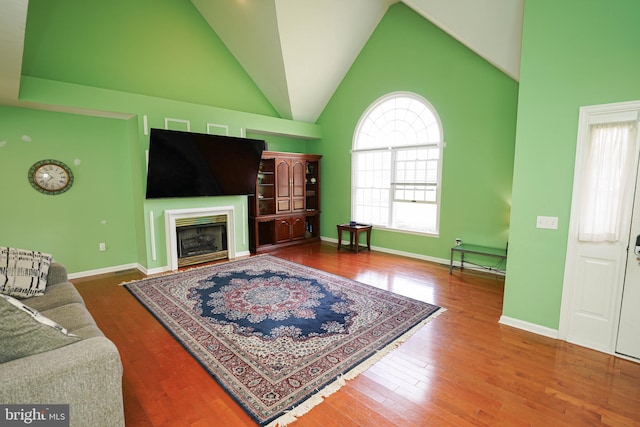 30085 Haymarket Ct, Salisbury, MD 21804 - living room featuring wood finished floors, a glass covered fireplace, baseboards, and high vaulted ceiling
