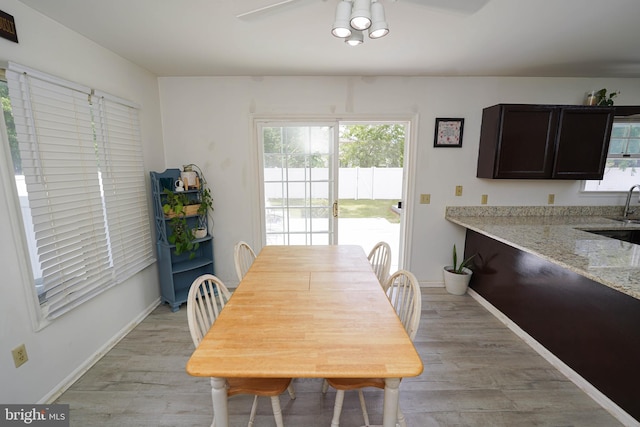 30085 Haymarket Ct, Salisbury, MD 21804 - dining room with light wood-type flooring, healthy amount of natural light, and baseboards