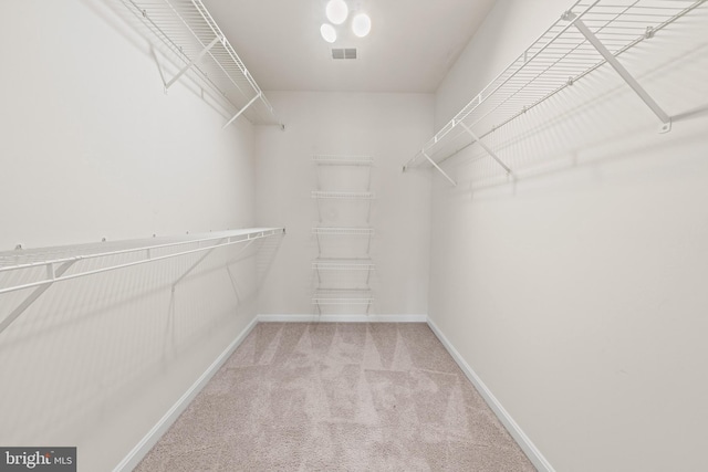spacious closet with carpet flooring and visible vents