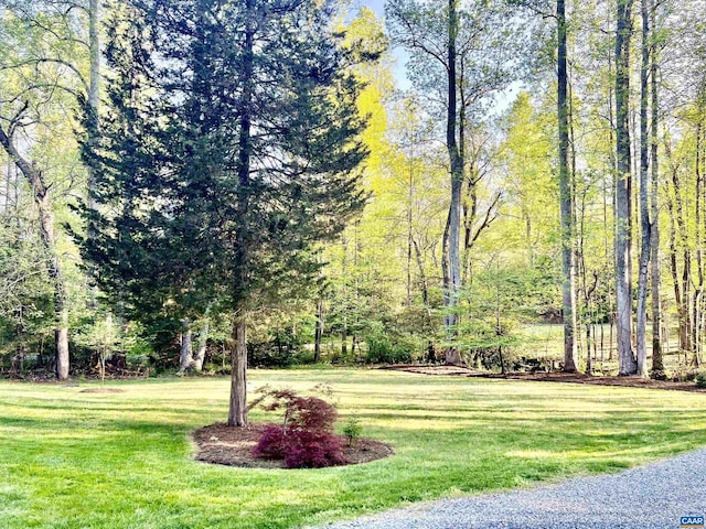 view of yard with a view of trees