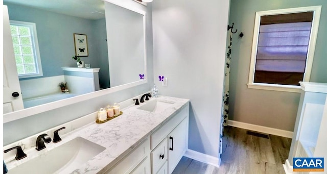 bathroom featuring double vanity, wood finished floors, baseboards, and a sink