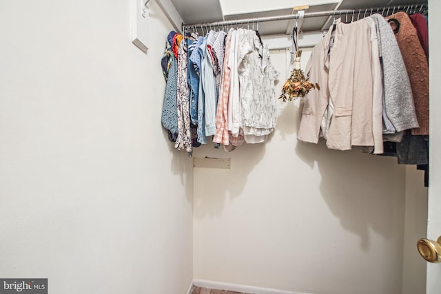 351 Gatewater Ct Unit C, Glen Burnie, MD 21060 - view of spacious closet