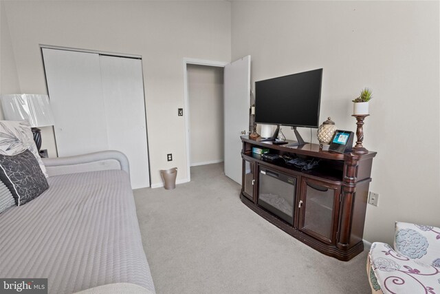 8101 Greenspring Way Unit 8101-E, Owings Mills, MD 21117 - bedroom with a towering ceiling, a closet, carpet flooring, and baseboards