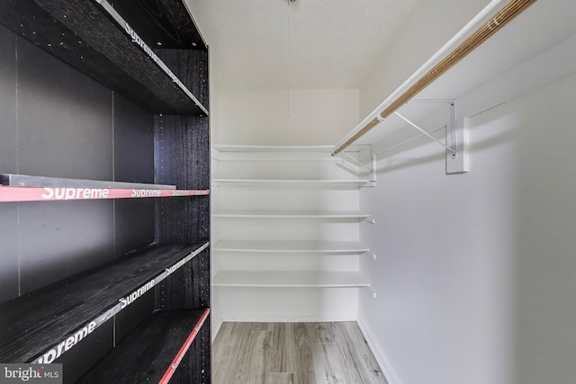 walk in closet with wood finished floors