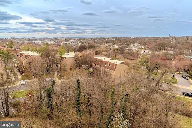 bird's eye view