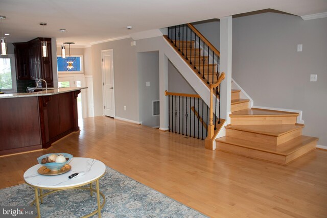 8074 Windward Key Dr, Chesapeake Beach, MD 20732 - kitchen featuring light wood finished floors, ornamental molding, pendant lighting, dark brown cabinets, and tasteful backsplash