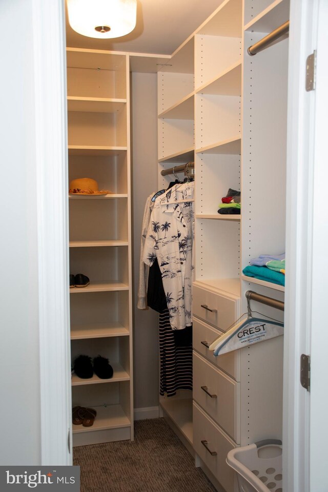 8074 Windward Key Dr, Chesapeake Beach, MD 20732 - walk in closet with carpet flooring