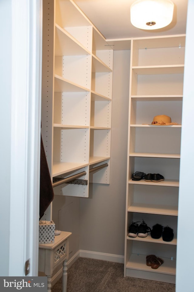 8074 Windward Key Dr, Chesapeake Beach, MD 20732 - spacious closet with carpet flooring