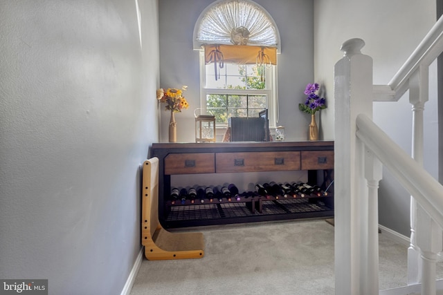 10230 Faire Commons Ct, Burke, VA 22015 - room details with carpet flooring and baseboards