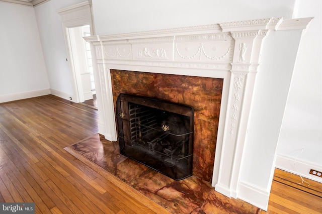 room details featuring baseboards, wood finished floors, and a premium fireplace