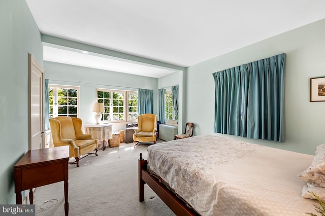 bedroom featuring carpet floors