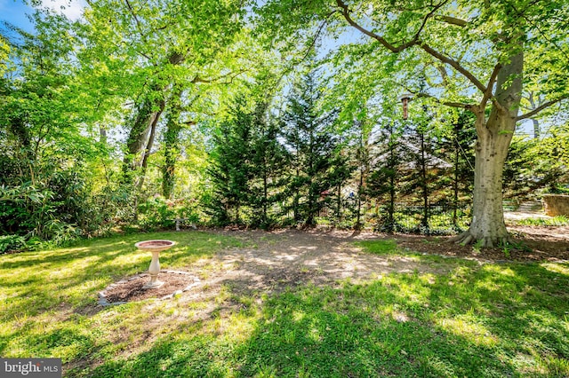 view of yard featuring a fire pit