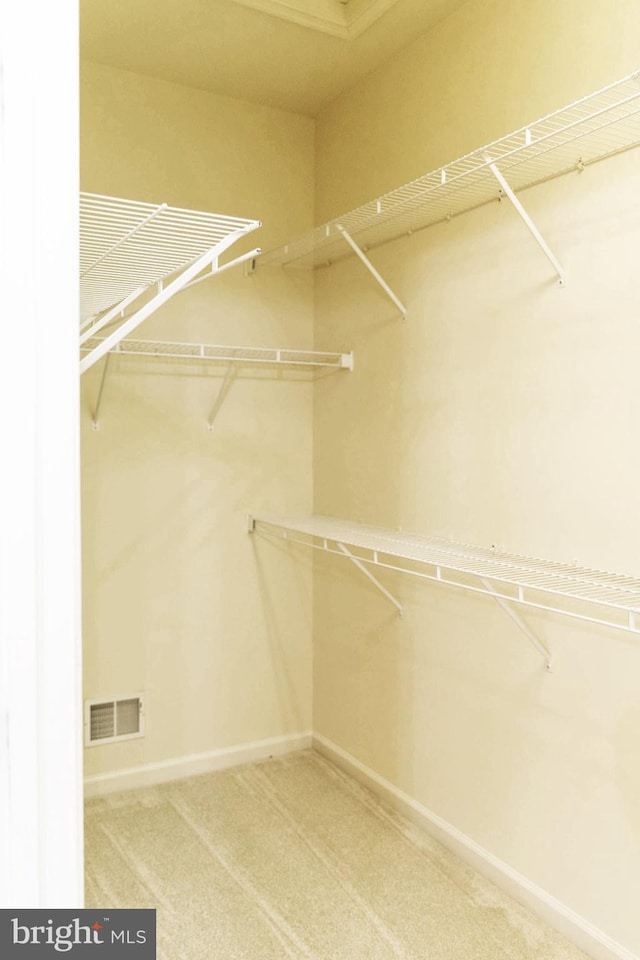 walk in closet featuring visible vents and carpet floors