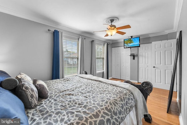 bedroom featuring wood finished floors, ceiling fan, two closets, and ornamental molding