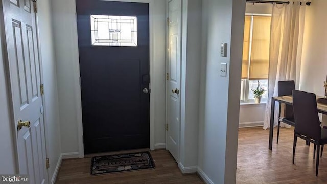 entrance foyer with baseboards, wood finished floors, and a healthy amount of sunlight