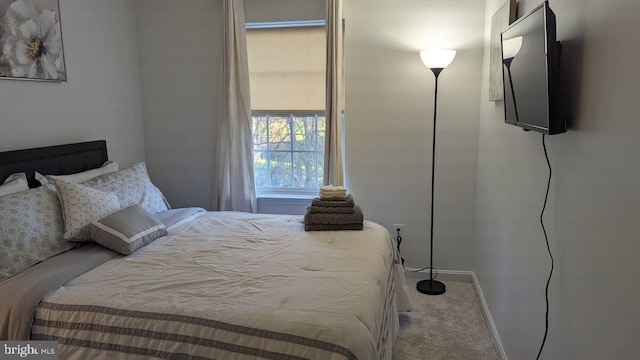 bedroom with baseboards and carpet