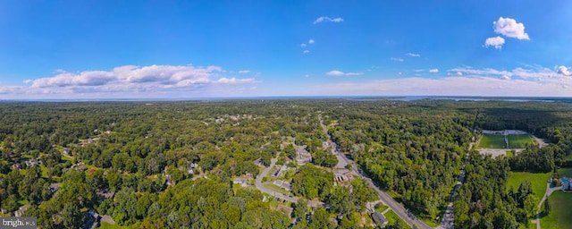 4564 Mountain Rd, Pasadena, MD 21122 - drone / aerial view of a heavily wooded area