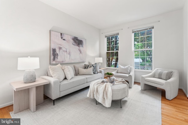 206 Cherrywood Ter, Gaithersburg, MD 20878 - living room with light wood finished floors and baseboards