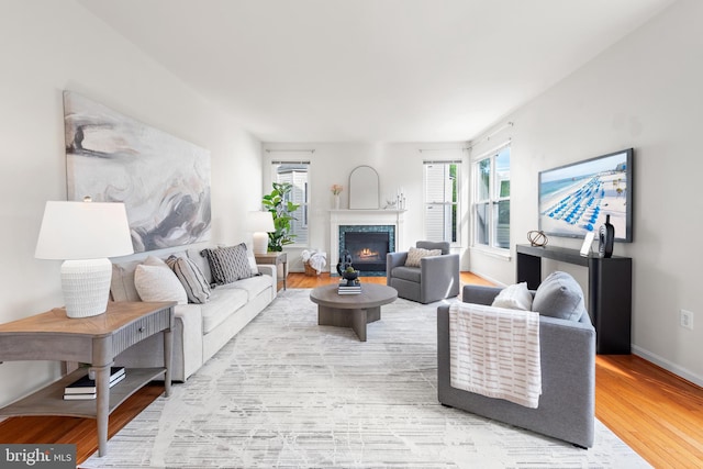 206 Cherrywood Ter, Gaithersburg, MD 20878 - living room with wood finished floors, a fireplace, and baseboards