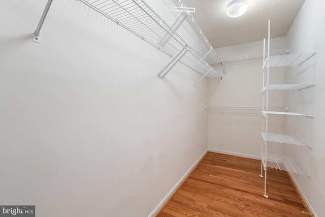 206 Cherrywood Ter, Gaithersburg, MD 20878 - walk in closet featuring light wood finished floors