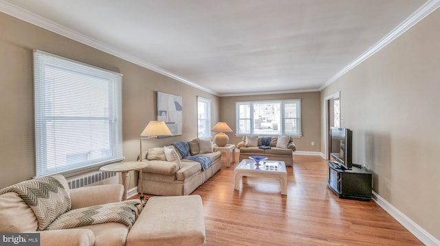 107 S Dover Ave, Atlantic City, NJ 08401 - living room featuring baseboards, ornamental molding, and light wood-style floors