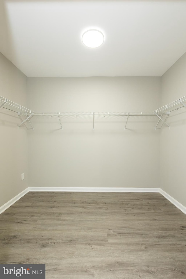 spacious closet featuring wood finished floors