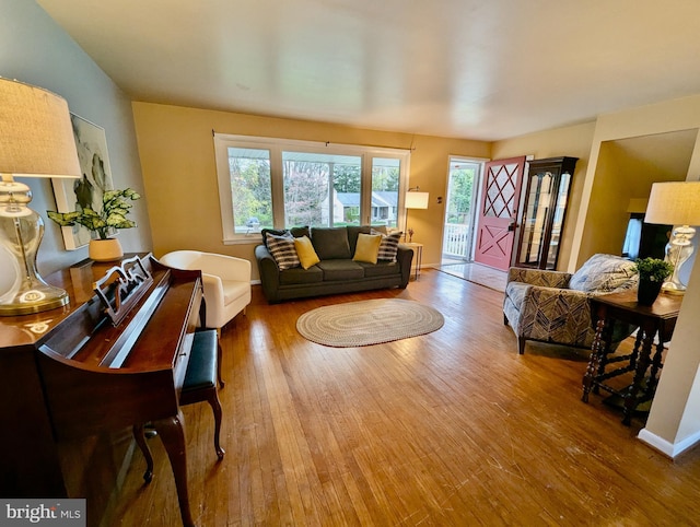 living room with wood finished floors