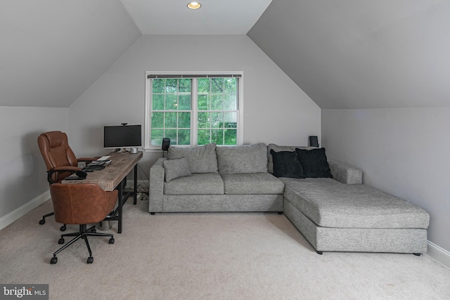 173 Christopher Dr, Princeton, NJ 08540 - office area with carpet, vaulted ceiling, and baseboards