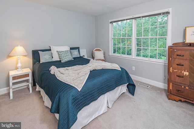 173 Christopher Dr, Princeton, NJ 08540 - bedroom with carpet flooring and baseboards