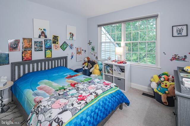 173 Christopher Dr, Princeton, NJ 08540 - bedroom featuring carpet and baseboards