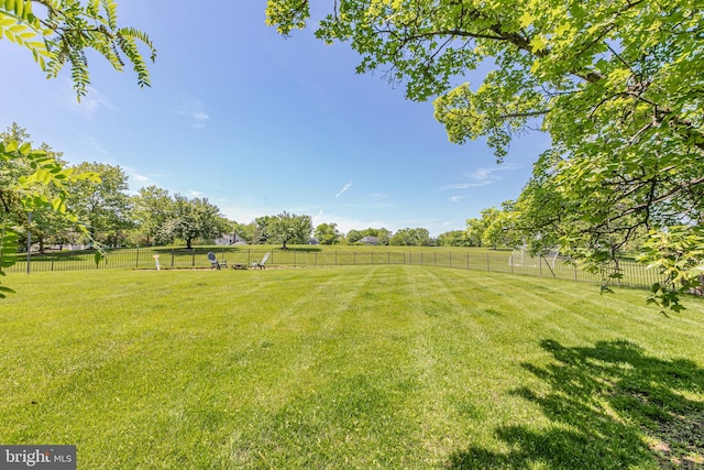 173 Christopher Dr, Princeton, NJ 08540 - view of yard