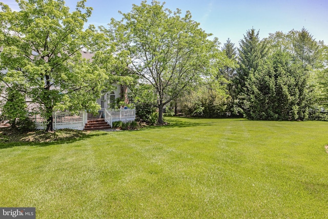 173 Christopher Dr, Princeton, NJ 08540 - view of green lawn