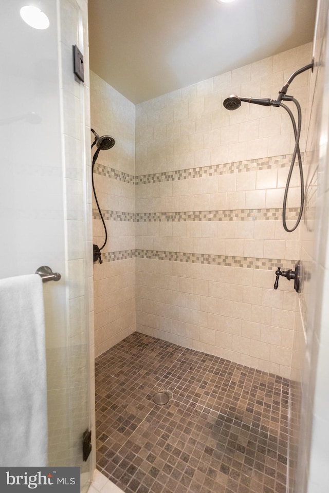 bathroom featuring a shower stall
