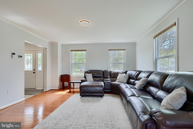 living room featuring baseboards, ornamental molding, and light wood finished floors