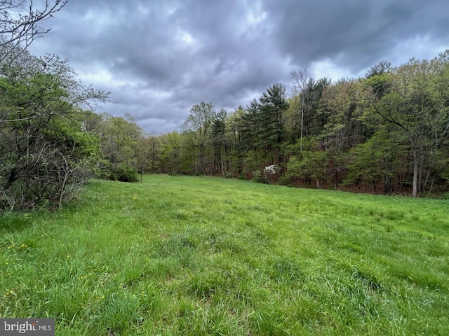 2385 Heide Cooper Rd, Shanks, WV 26761 - view of yard with a view of trees