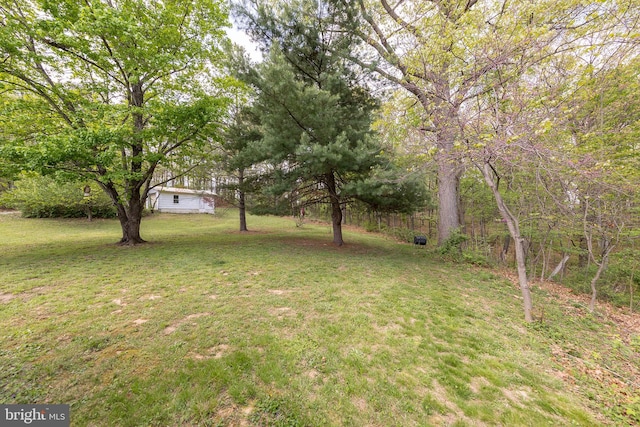2385 Heide Cooper Rd, Shanks, WV 26761 - view of yard