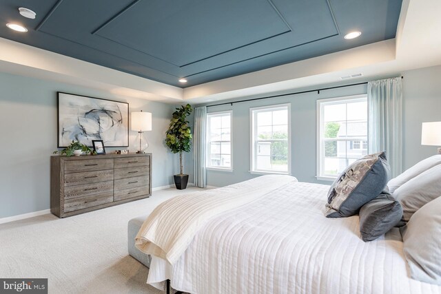 HOMESITE12 Old York Rd, Dillsburg, PA 17019 - carpeted bedroom with baseboards, visible vents, multiple windows, and a tray ceiling