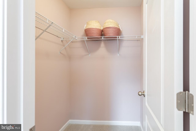 HOMESITE12 Old York Rd, Dillsburg, PA 17019 - walk in closet with carpet