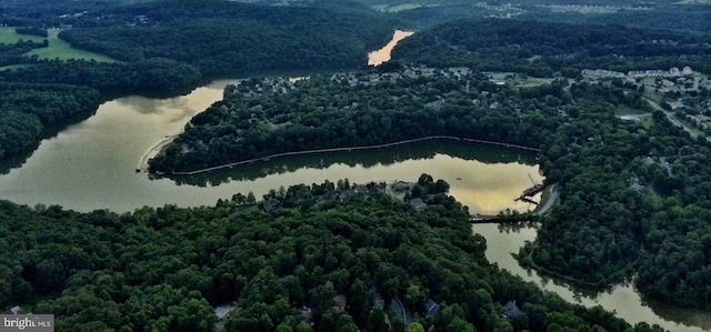 11294 Country Club Rd, New Market, MD 21774 - aerial view of property and surrounding area with a forest and a large body of water
