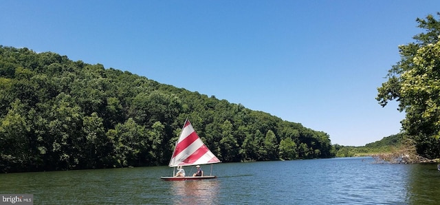 11294 Country Club Rd, New Market, MD 21774 - water view featuring a heavily wooded area