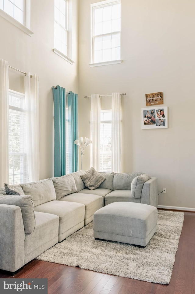 living area with a high ceiling and hardwood / wood-style flooring