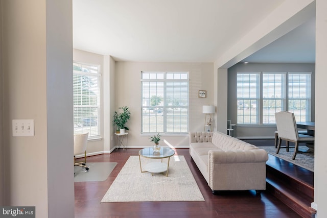 living area featuring baseboards and dark wood-style floors