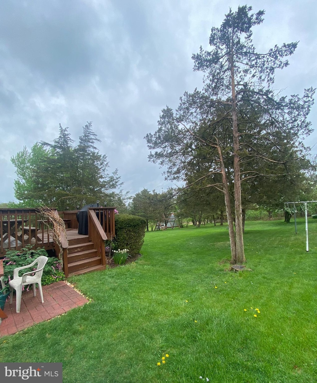 view of yard with a deck and a patio area