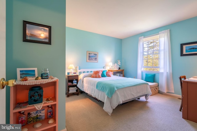 1069 E 2nd St, Red Hill, PA 18076 - view of carpeted bedroom