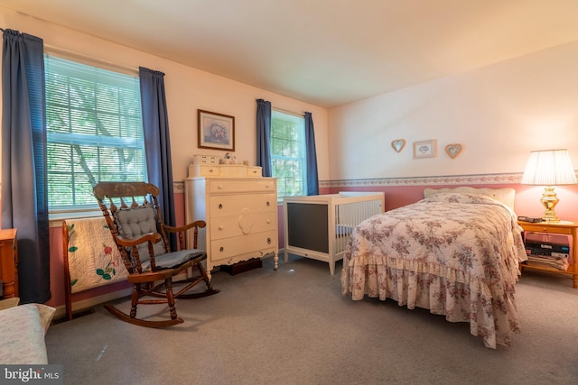 1069 E 2nd St, Red Hill, PA 18076 - view of carpeted bedroom