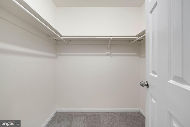 9120 Galbreth Ct, Springfield, VA 22153 - spacious closet with carpet