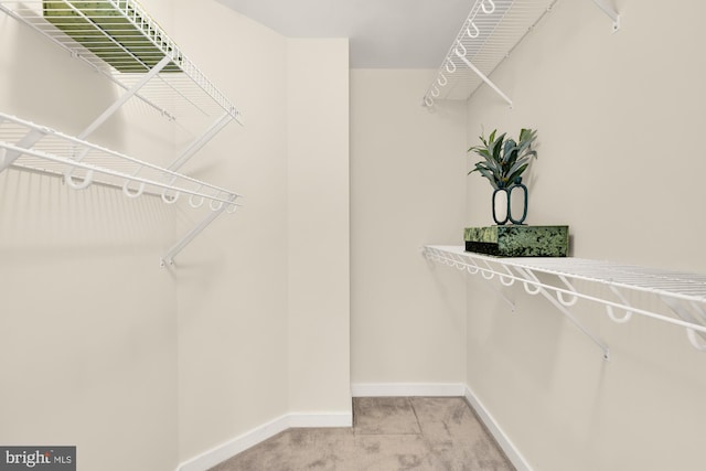walk in closet with light carpet