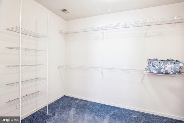 spacious closet featuring carpet floors